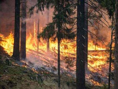 Common Mistakes When Lighting a Fire Image